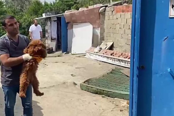 KAÇAK HAYVAN TİCARETİNE OPERASYON