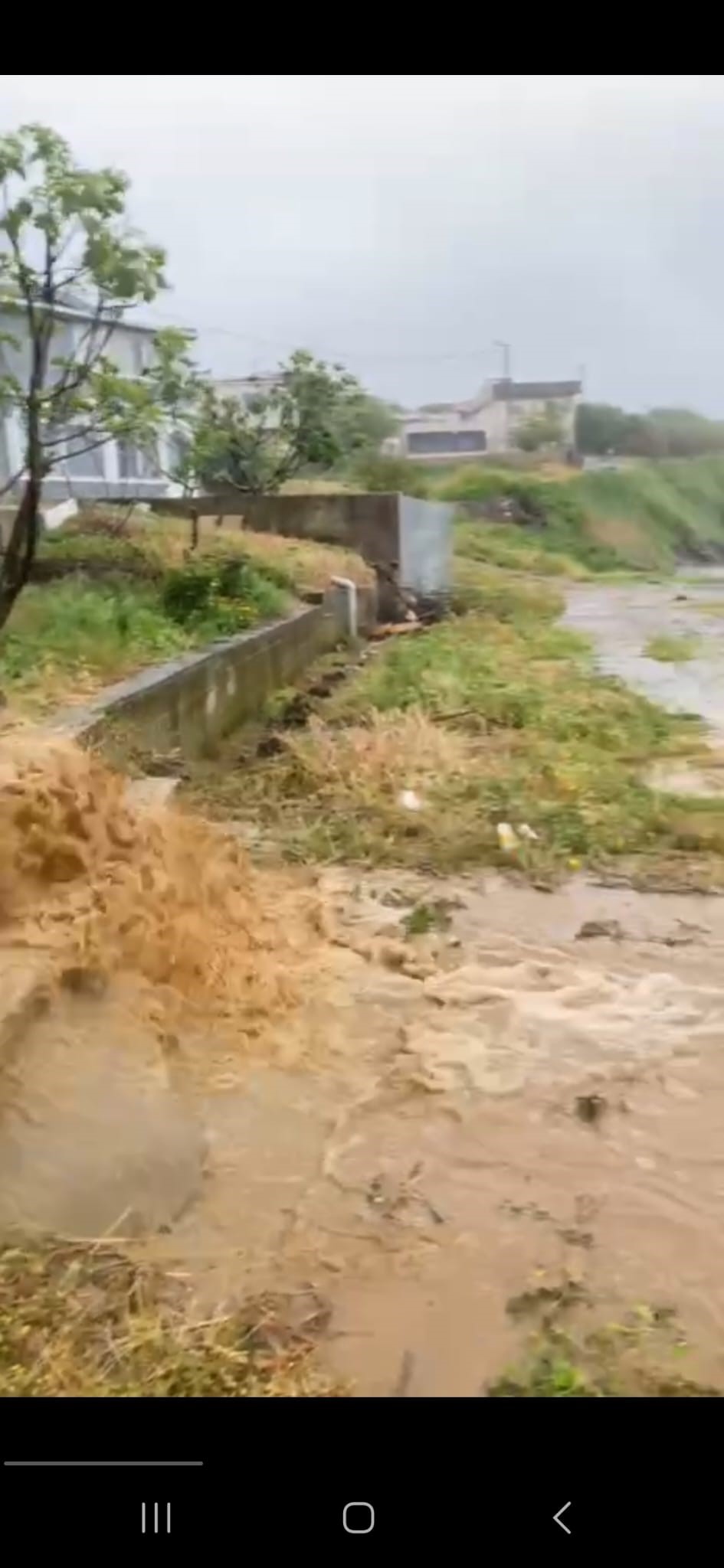 Balıkesir’in Erdek ilçesine bağlı Paşalimanı adasında etkili olan sağanak yağmur