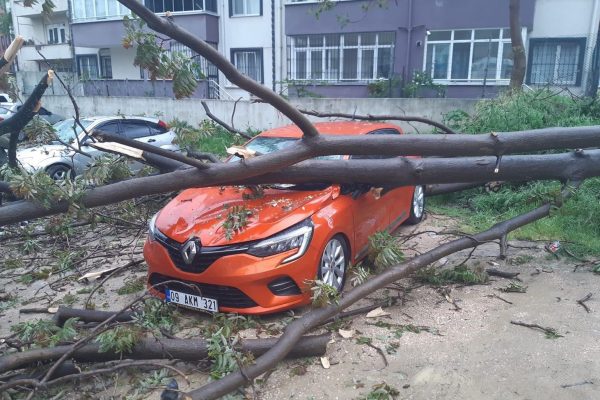 ÇÜRÜYEN AĞAÇ OTOMOBİLİN ÜSTÜNE DEVRİLDİ