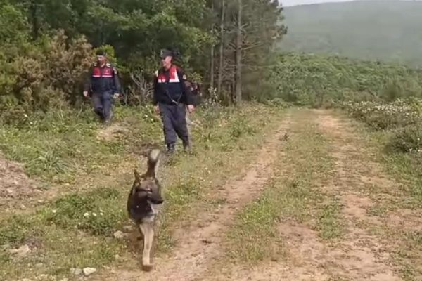KADAVRA KÖPEKLERİ BERZEG’E AİT İZ ARIYOR