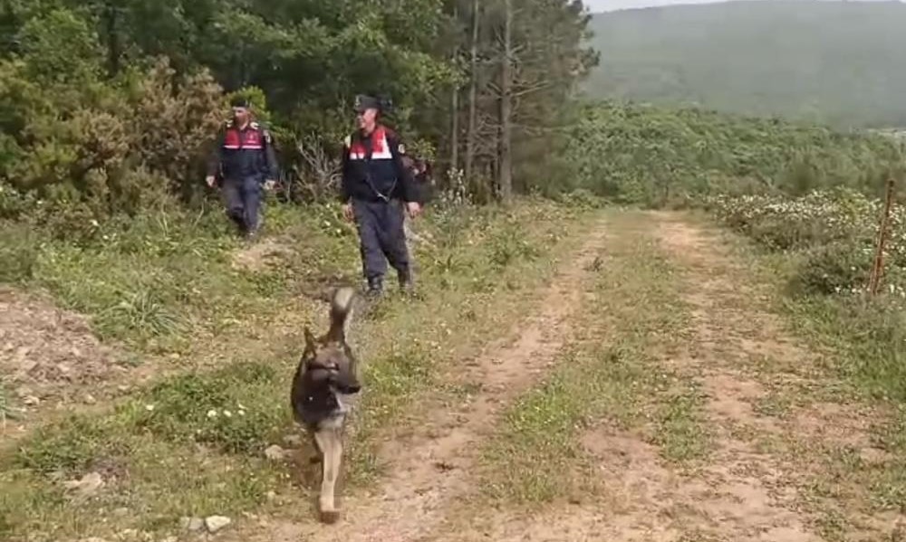 KADAVRA KÖPEKLERİ BERZEG’E AİT İZ ARIYOR