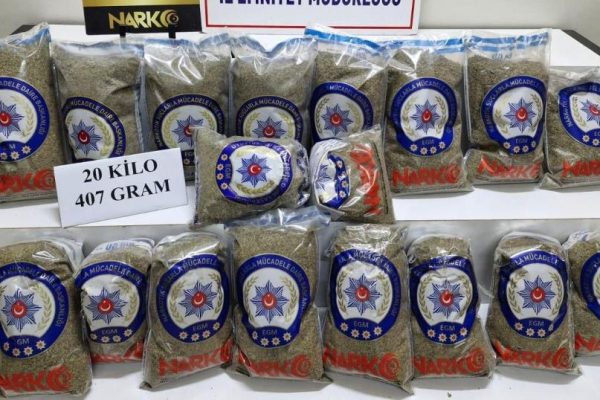ÇAY DEDİLER BONZAİ ÇIKTI