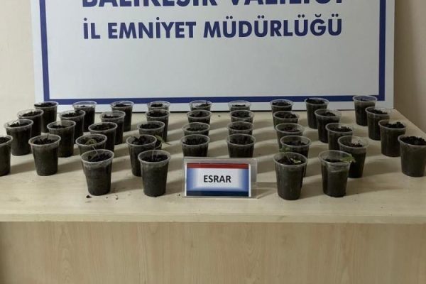 EVİNİ ESRAR BAHÇESİ YAPMIŞ