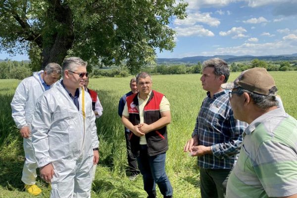 SÜNE İLE BİYOLOJİK MÜCADELE BAŞLADI
