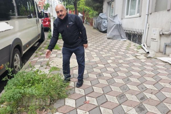 BANDIRMA YEŞİLE HASRET