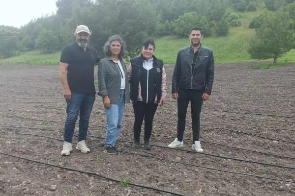 EKİMİNDEN HASADINA KADAR BÜYÜKŞEHİR YANLARINDA
