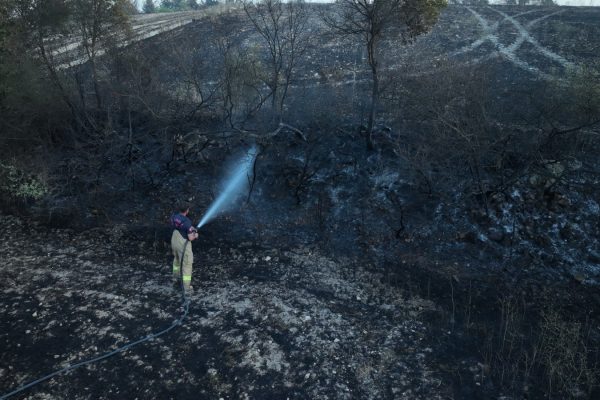 ORMAN YANGINI BÜYÜMEDEN SÖNDÜRÜLDÜ