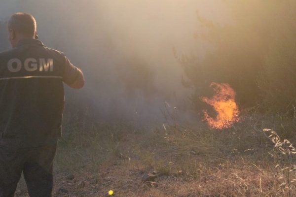 SUSURLUK’TAKİ ORMAN YANGINI KONTROL ALTINA ALINDI