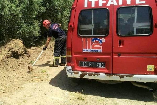 ÇUKURA DÜŞEN YAVRU DOMUZU İTFAİYE KURTARDI