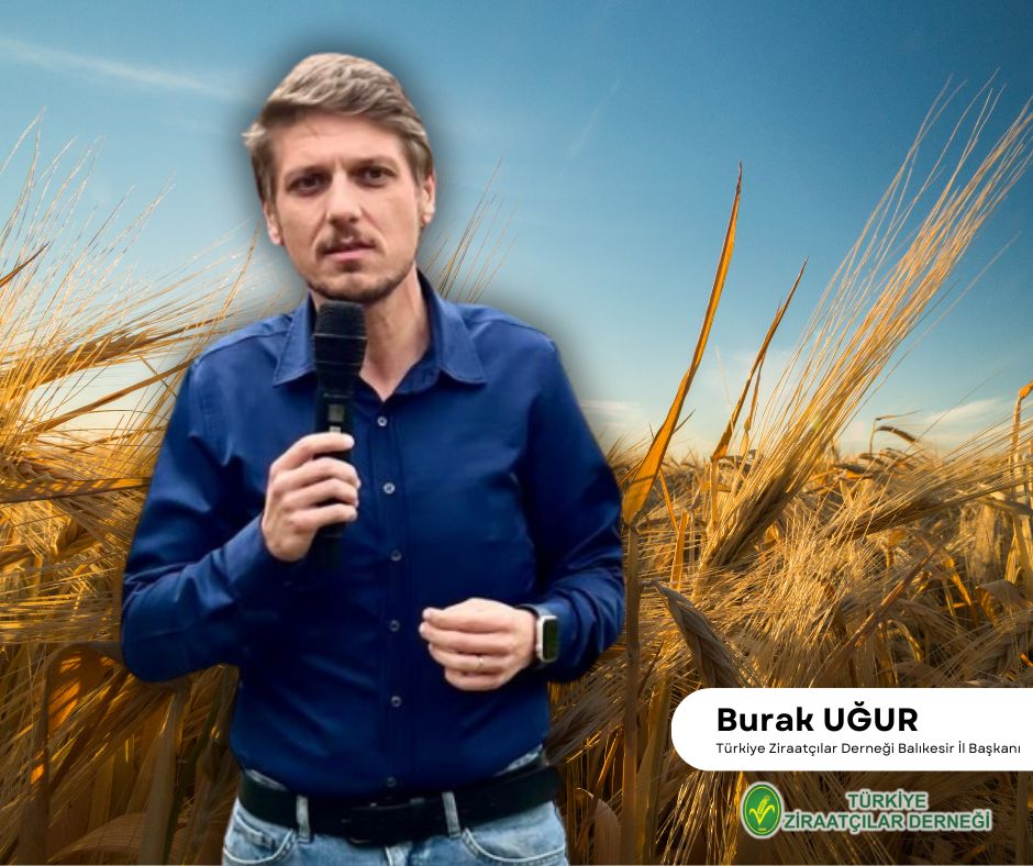 Hükümet tarafından dün açıklanan 2024 yılı buğday alım fiyatlarına bir