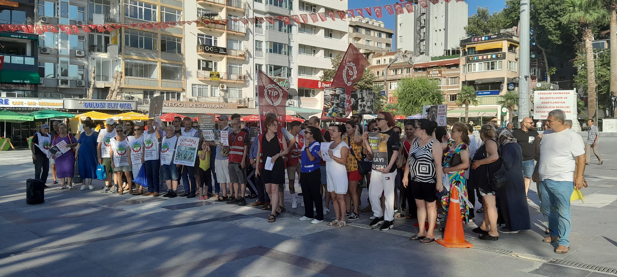   Hükümetin artan sokak hayvanlarına yönelik çıkarmak istedikleri yeni yasalar