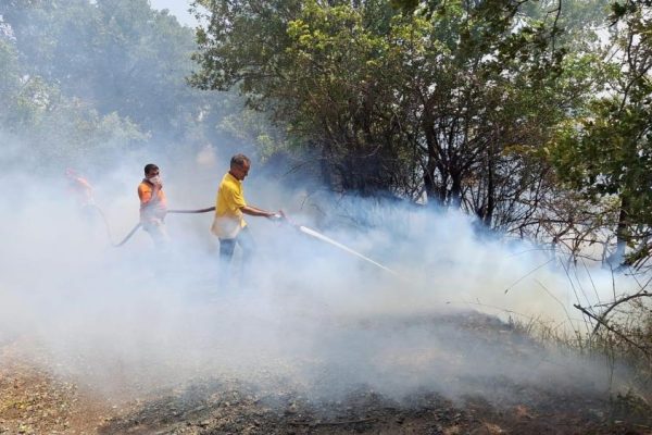 BALIKESİR’DE ORMAN YANGINI