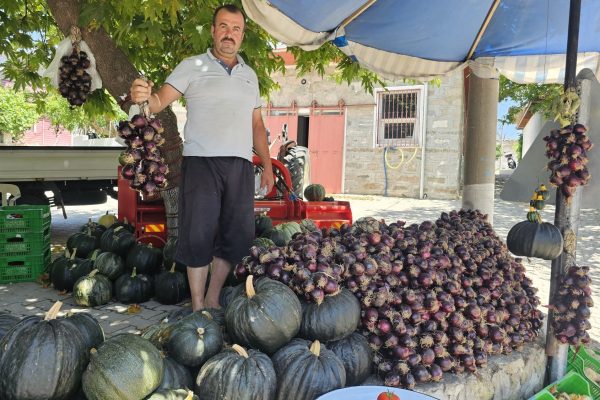 KAPIDAĞ MOR SOĞANI TEZGAHLARDA