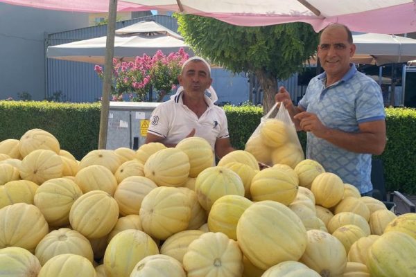GÖNEN KAVUNU TEZGAHLARDAKİ YERİNİ ALDI