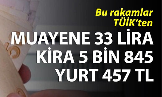 Ekonomi yazarı Alaattin Aktaş, TÜİK’in açıklamayı bıraktığı hizmet ve ürünlerin