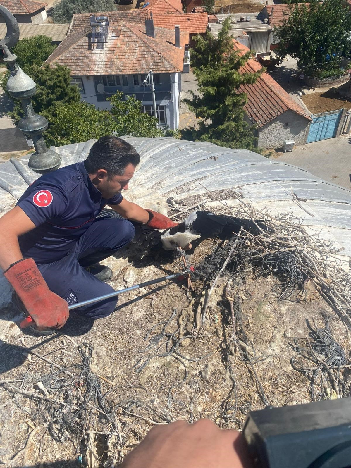 Karesi İlçesi Kavaklı Mahallesi Camisi’nin kubbesinde yuvasında bacağına ip dolanarak