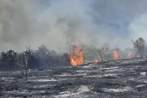 YÜKSEK GERİLİM HATTINDAN SIÇRAYAN KIVILCIMLAR YANGINA NEDEN OLDU