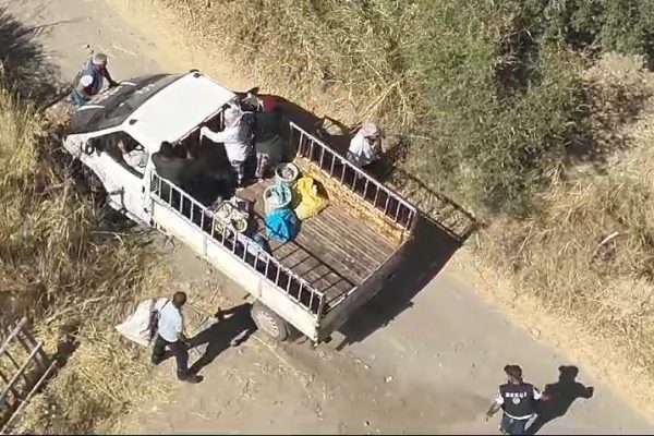 HIRSIZLAR DRONE KAMERASINA YAKALANDI