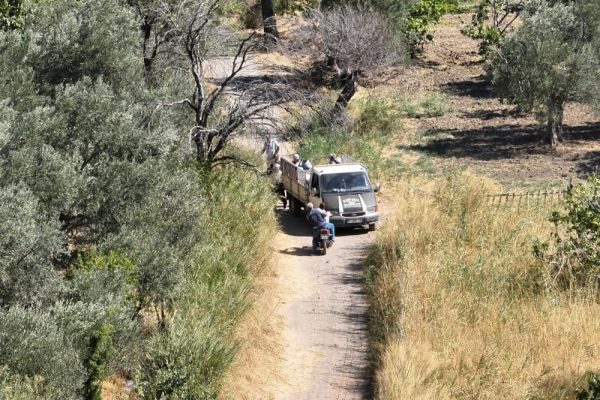 ARACI BEKÇİLERİN ÜZERİNE SÜREN HIRSIZ TUTUKLANDI