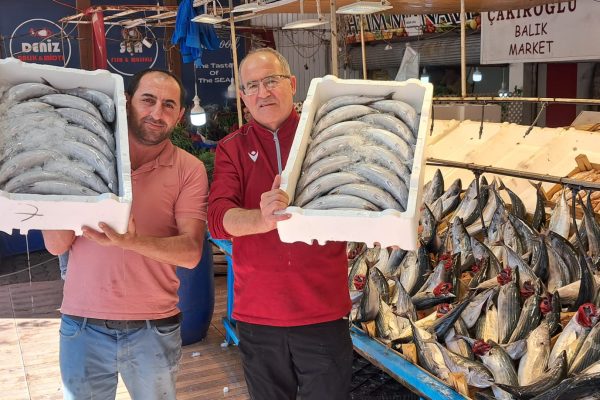KESTANE KARASI PALAMUT FİYATLARINI BELİRLEYECEK
