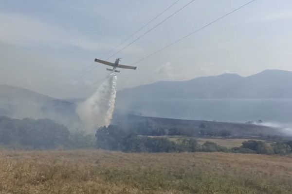 PAŞALİMANI ADASI’NDA YANGIN