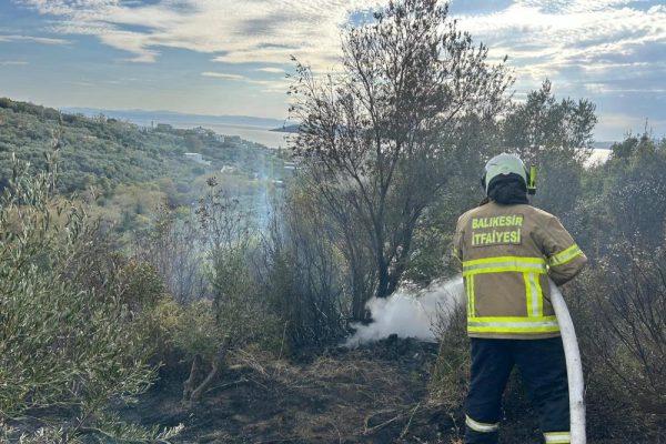 NARLI’DE 10 DÖNÜM ZEYTİNLİK KÜL OLDU