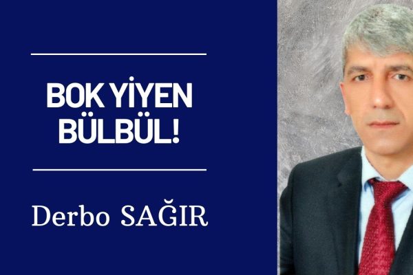 BOK YİYEN BÜLBÜL!