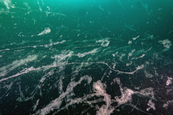MARMARA’DA KORKULAN OLDU… MÜSİLAJ GERİ DÖNDÜ