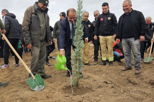 BANDIRMA’DA YANAN ALANA 750 ÇAM FİDANI DİKİLDİ