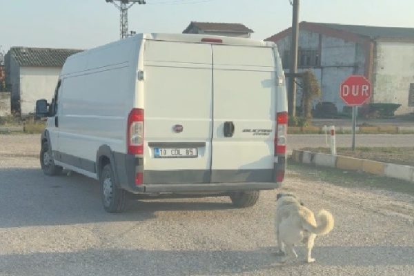 KÖPEĞİ KAMYONETE BAĞLAYIP SÜRÜKLEDİLER