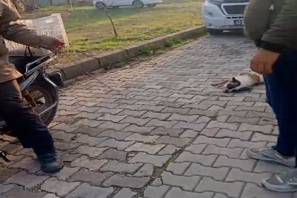 KÖPEĞİ MOTOSİKLETE BAĞLAYIP SÜRÜKLEDİ