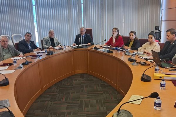 Ağaçları ile gündem yaratan arsaya alıcı çıkmayınca satış ertelendi