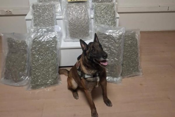 Balıkesir’de 12 kilo esrar ele geçirildi