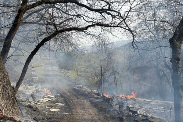 Gönen’de orman yangını: Müdahale sürüyor