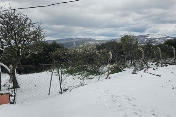 Kapıdağ ve Karadağ’da kar sürprizi