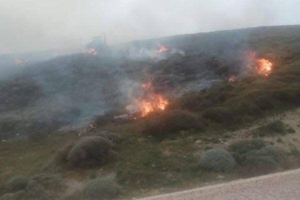 Avşa Adası’nda çıkan yangın kontrol altına alındı