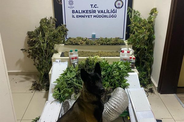 Bandırma’da zehir tacirlerine geçit yok: 1 gözaltı