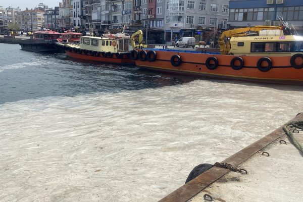 Çanakkale’yi müsilaj vurdu
