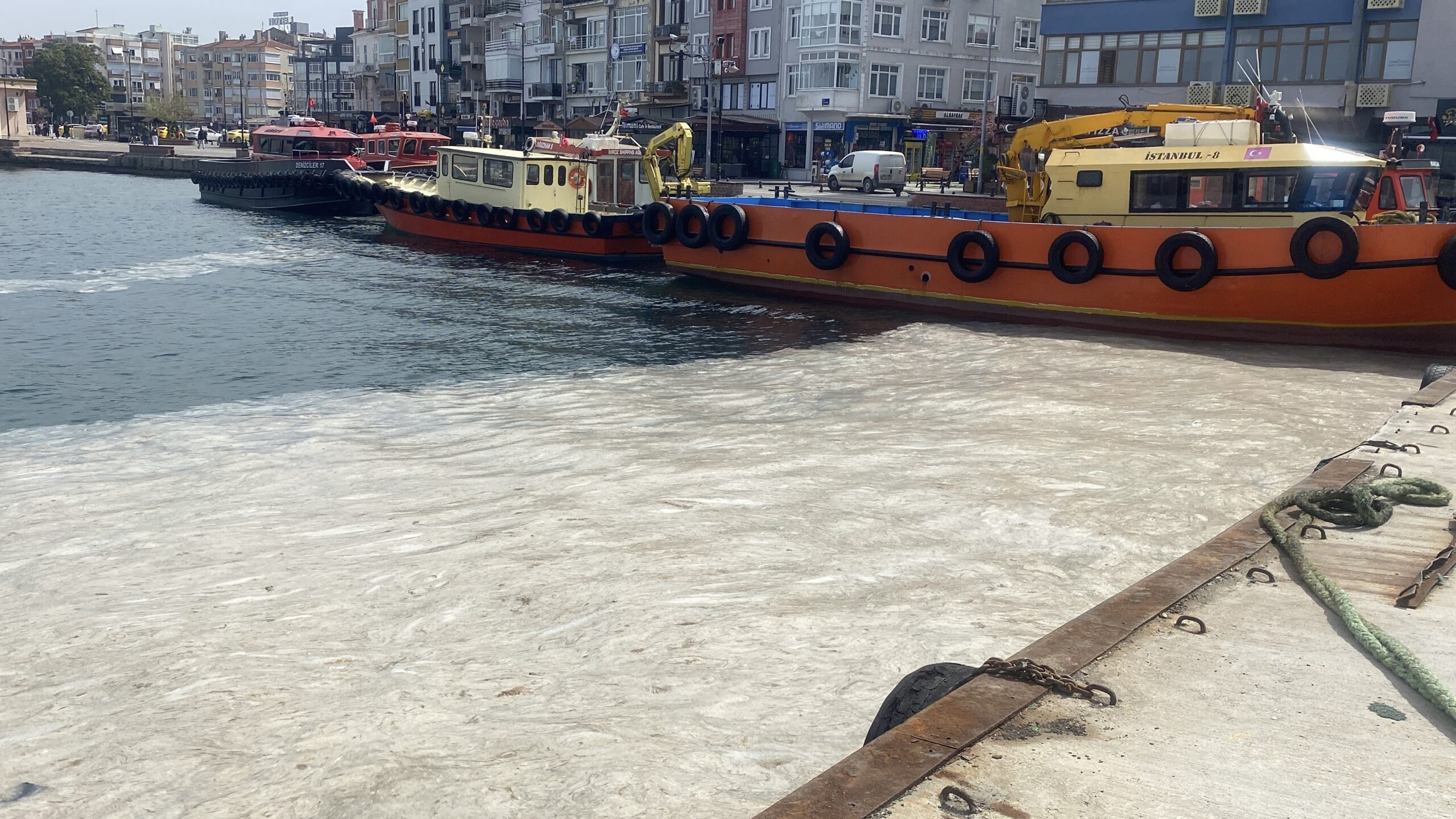 Çanakkale’yi müsilaj vurdu