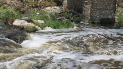 Manyas ilçesi Cumhuriyet Mahallesi’nden geçen Ketenlik Deresi’ne kimyasal ve hayvansal