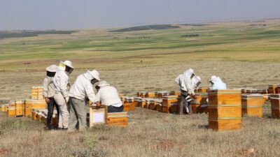 Türkiye Arı Yetiştiricileri Merkez Birliği (TAB) Başkanı Ziya Şahin, zirai