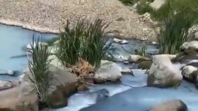 Gönen’de Çerpeş Deresi’ne dökülen kimyasal atık, Gönen Çayı’na karışarak yaklaşık