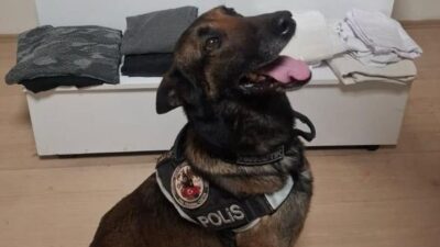 Balıkesir’de narkotik ekiplerince gerçekleştirilen uyuşturucu operasyonunda 6 kilo 887 gram