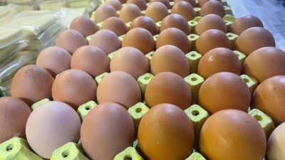 Yumurta Üreticileri Ürünleri Sanayicileri Derneği (YÜSAD) Başkanı Metin Akman, yumurtanın