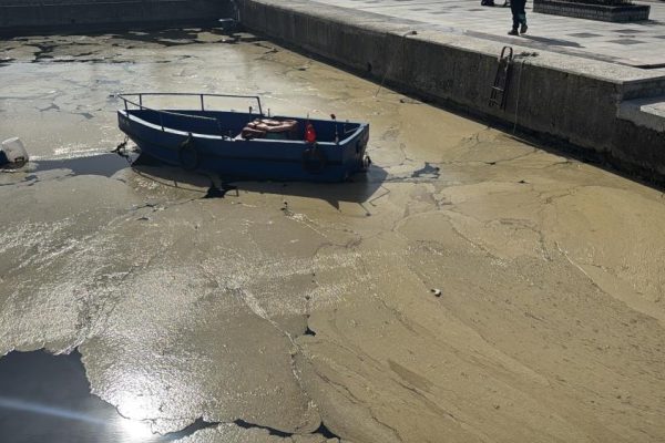 Bandırma’da müsilaj yüzeye çıktı