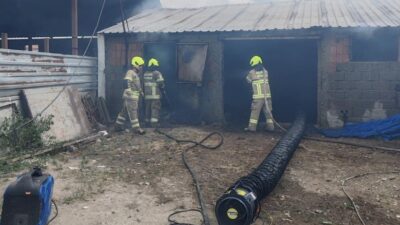 Manyas ilçesine bağlı Kocagöl Mahallesi’nde ahırda çıkan yangında 30 anaç