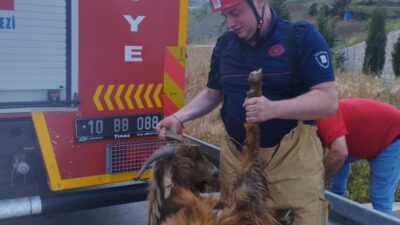 Balıkesir’in Susurluk ilçesinde, su kanalına düşerek mahsur kalan bir keçi,