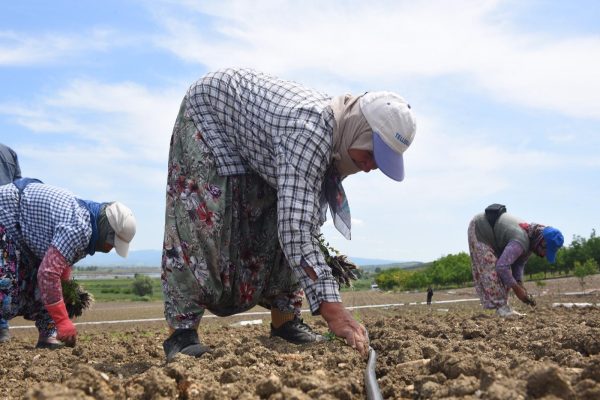 BASKİ’den modern altyapıyla Manyaslı çiftçilere kesintisiz su imkânı