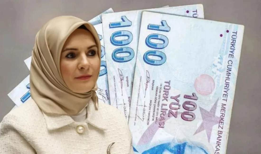 2025’te Sosyal Yardımlar Genişliyor, Toplu Taşıma Esnafına Gelir Desteği Artıyor: