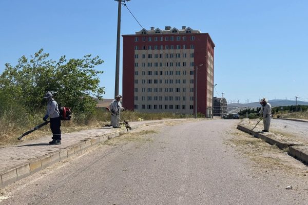 Mirza : Yeşil Alanların bakımı ve ilaçlama konusunda yoğun mesai yürütülüyor
